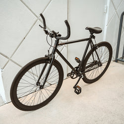 Oway DINAMO Limited Edition Bike (Small)